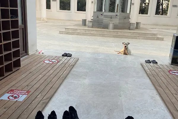 Seyyit Cemalettin Hz türbesi - Resim 13