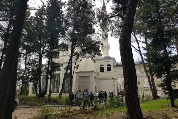 Seyyit Cemalettin Hz türbesi - Resim 9
