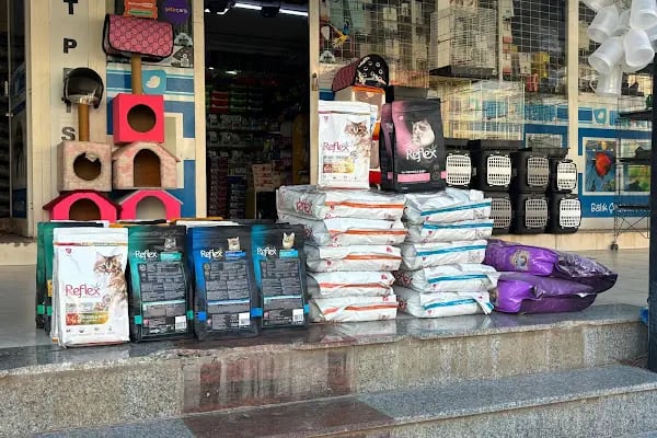 Umut Petshop - Resim 3