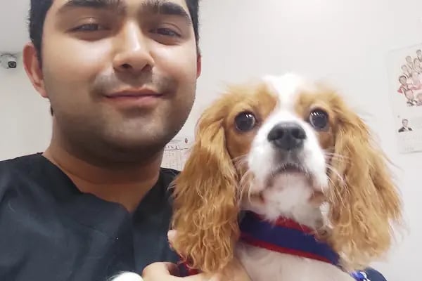 Pet Dad Veteriner Kliniği - Resim 5