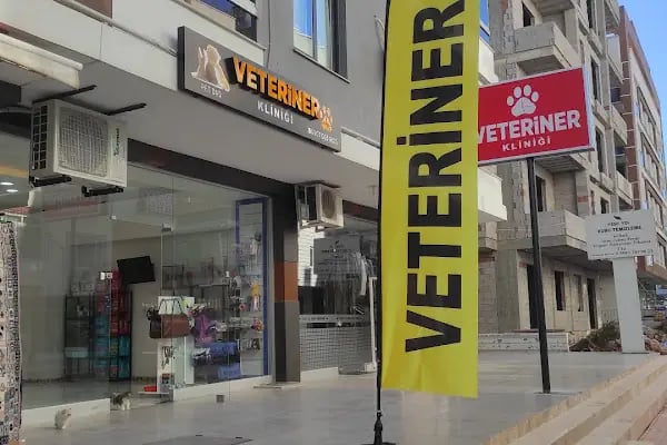 Pet Dad Veteriner Kliniği - Resim 3