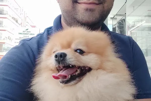 Pet Dad Veteriner Kliniği - Resim 11