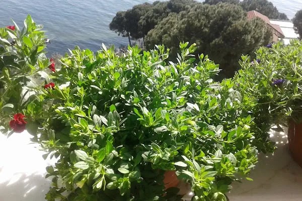 Zeki Barış Sitesi A Blok - Resim 3