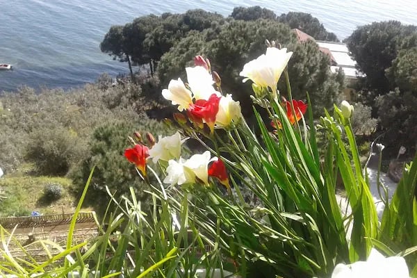 Zeki Barış Sitesi A Blok - Resim 7