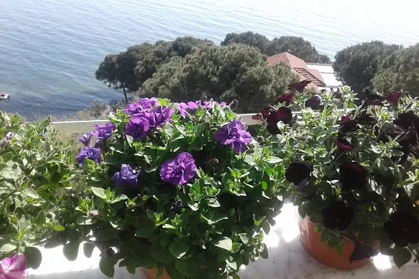 Zeki Barış Sitesi A Blok - Resim 5