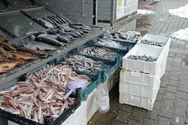 Kıyak kardeşler balikcilik restorant - Resim 3