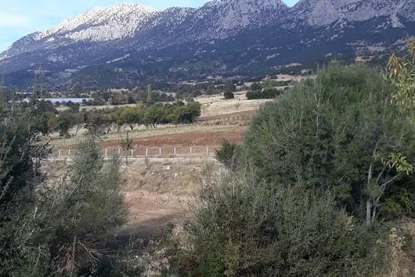 Armutlu Kaya Mezarı - Resim 14