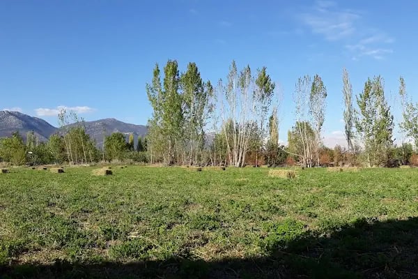 Armutlu Kaya Mezarı - Resim 3