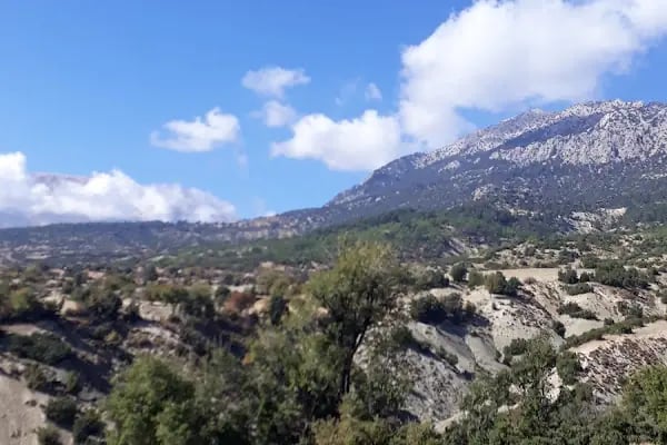 Armutlu Kaya Mezarı - Resim 4