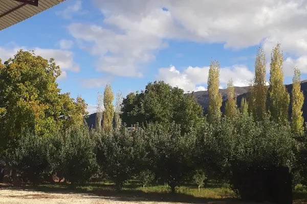 Armutlu Kaya Mezarı - Resim 17