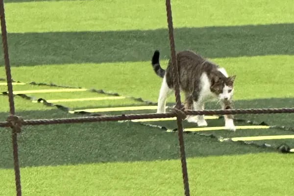 Aygın Spor Kompleksi - Resim 18