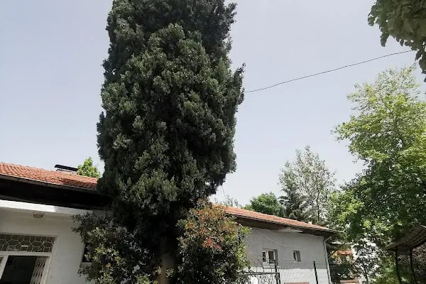 Molla arap türbesi - Resim 2