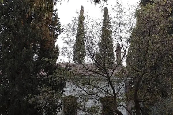 Murat Köşkü - Resim 16