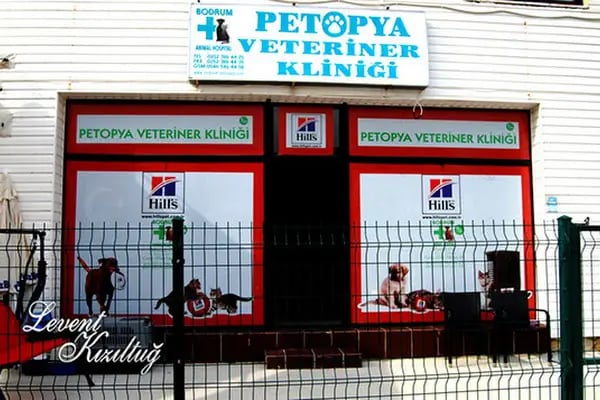 Petopya Veteriner Kliniği - Resim 5