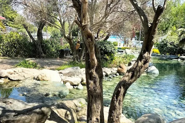 İstanbul Esenyurt Halk Eğitimi Merkezi - Resim 17