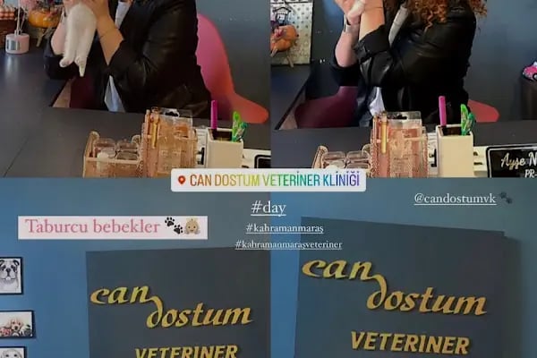 Can Dostum Veteriner Kliniği - Resim 7