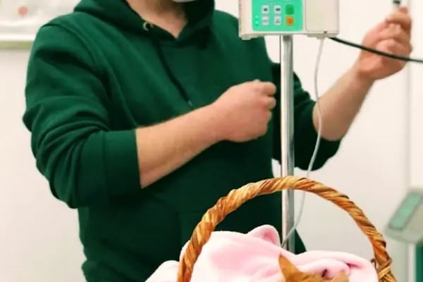 Can Dostum Veteriner Kliniği - Resim 5