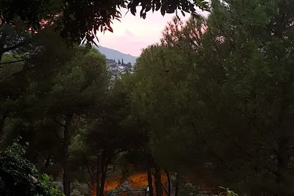 Otel Koç - Resim 8