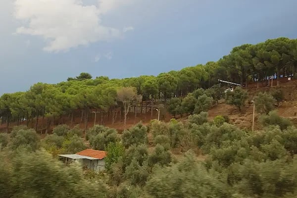 Otel Koç - Resim 16
