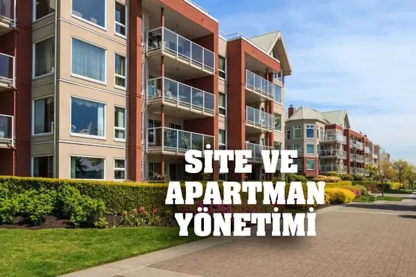 GLOBAL YÖNETİM - Resim 3