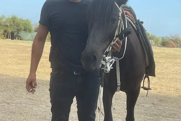 Rodeo Horse Club - Resim 10