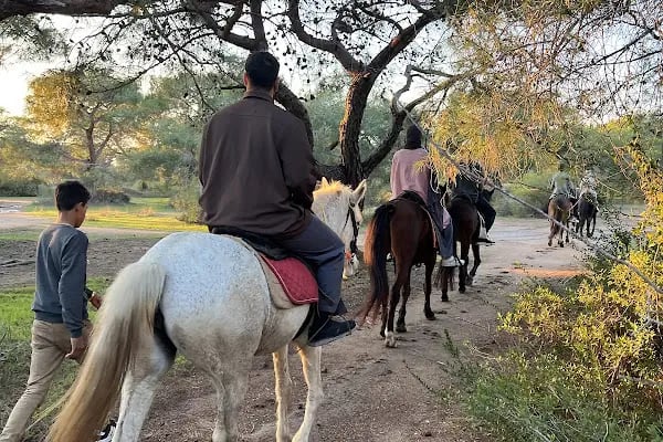 Rodeo Horse Club - Resim 7
