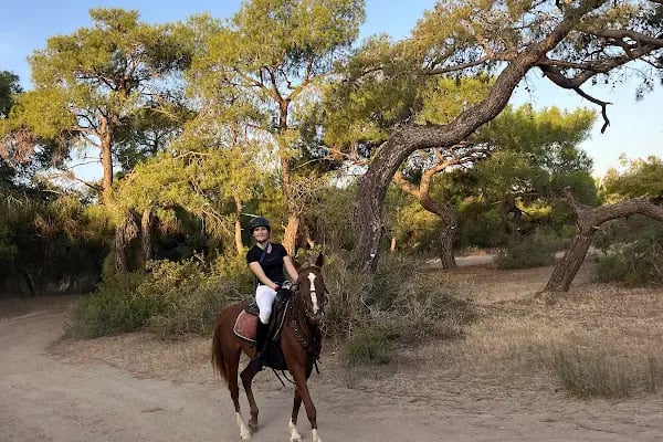Rodeo Horse Club - Resim 3