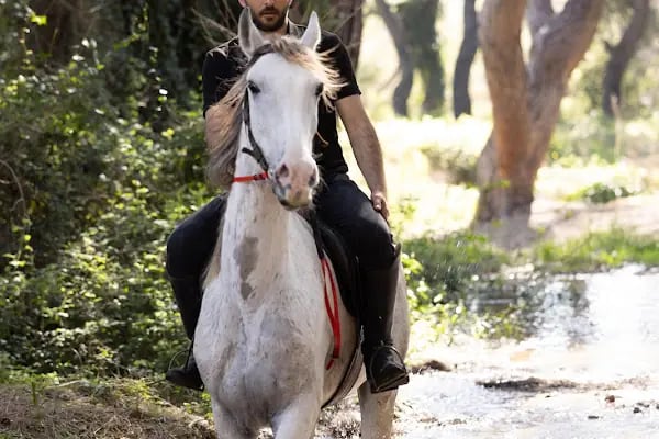 Rodeo Horse Club - Resim 4