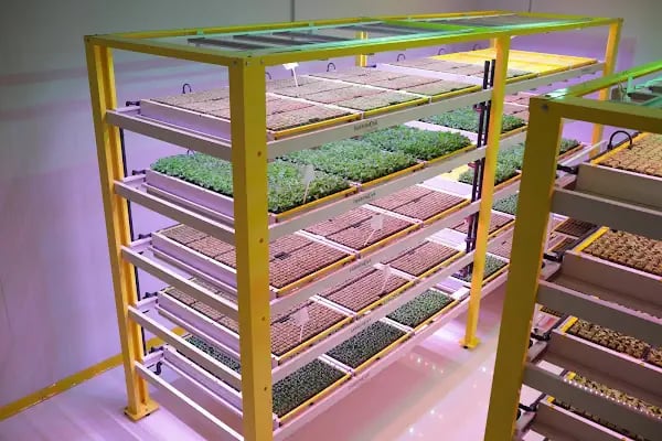 Farminova | Cantek Group - Resim 3