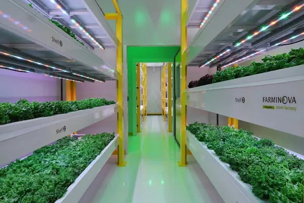 Farminova | Cantek Group - Resim 1