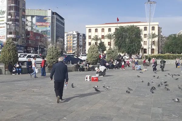 Ezo Ana Mantı Evi - Resim 4