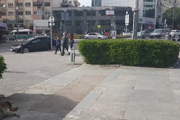 Ezo Ana Mantı Evi - Resim 10