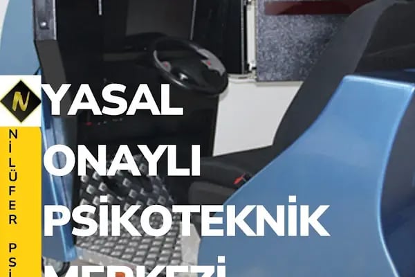 Buca Nilüfer psikoteknik - Resim 17