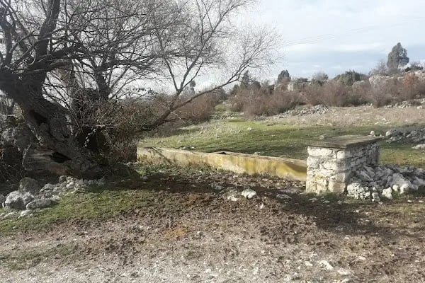 Avdan Köyü Cami - Resim 5
