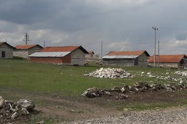 Avdan Köyü Cami - Resim 8