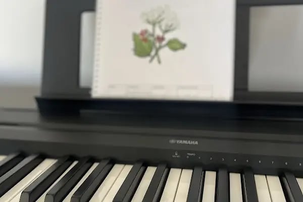 Lavinya sanat akademisi - Resim 1