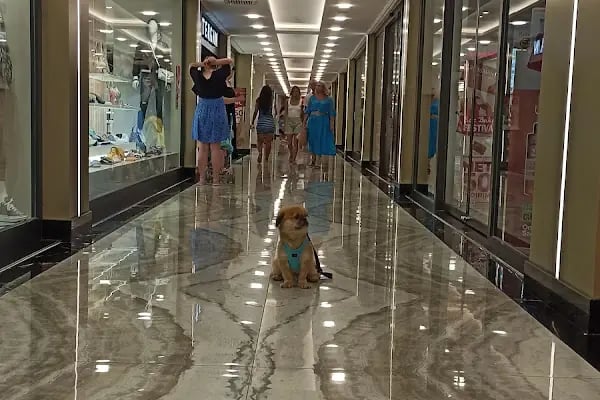 Yekta Mall - Resim 16