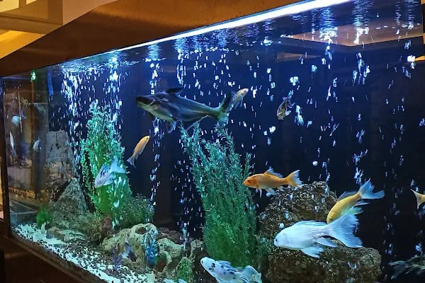 Grand Alanya Hamam - Resim 2
