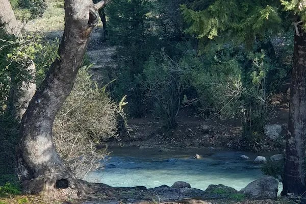 Kamp alanı ücretsiz - Resim 15