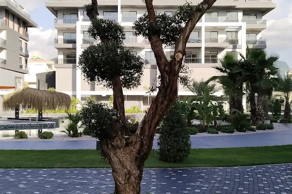 KYT Construction AS Alanya Turkey - Resim 6