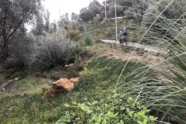 Dağ Parkı - Resim 8