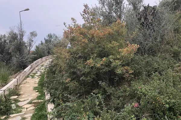Dağ Parkı - Resim 4