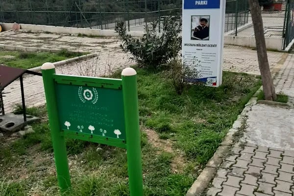 Dağ Parkı - Resim 9
