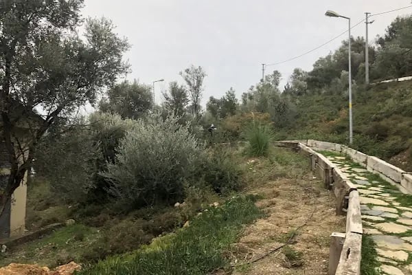 Dağ Parkı - Resim 2
