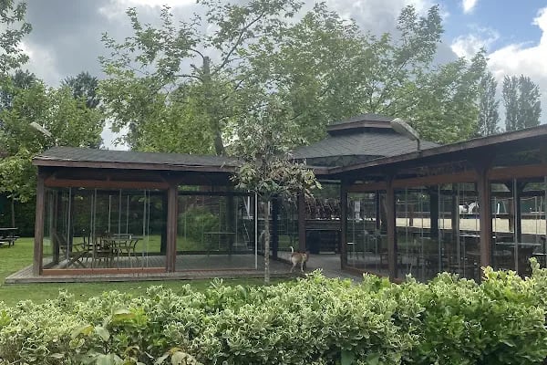 Dila Atlı Spor Kulübü - Resim 13