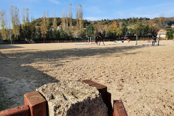 Dila Atlı Spor Kulübü - Resim 7