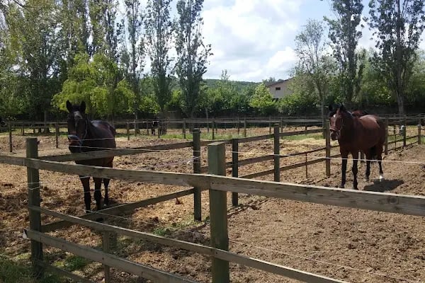 Dila Atlı Spor Kulübü - Resim 15