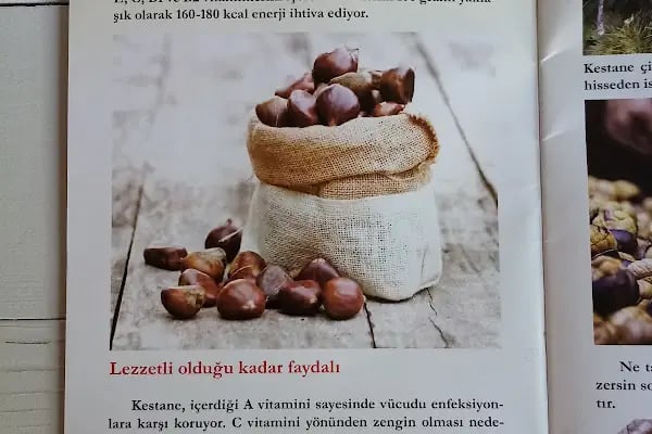 Beydağ Belediyesi Kültür Merkezi ve Konuk Evi - Resim 16