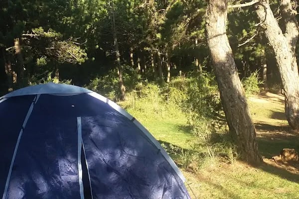 Spil Dağı Piknik Alani - Resim 18