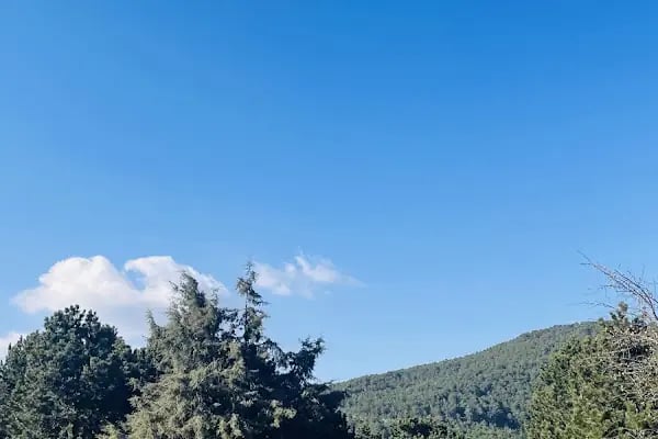 Spil Dağı Piknik Alani - Resim 7